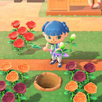 青バラチャレンジ3