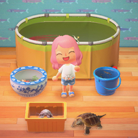 『あつ森』飾りたいいきもの