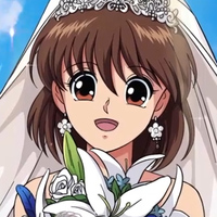 『幽☆遊☆白書 100％本気（マジ）バトル』