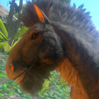 ゴロー2000才の家