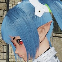 『ファンタシースターオンライン2』