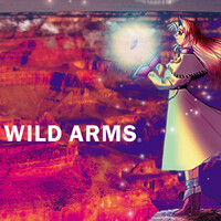 『ワイルドアームズ』
