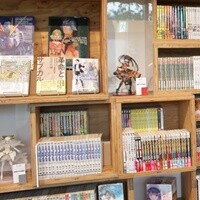 マンガ・ラノベ図書館