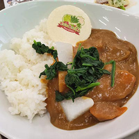 『スクールガールストライカーズ2』