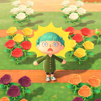 あつ森_青バラチャレンジ3