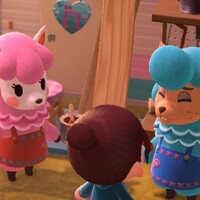 あつ森_カイゾー