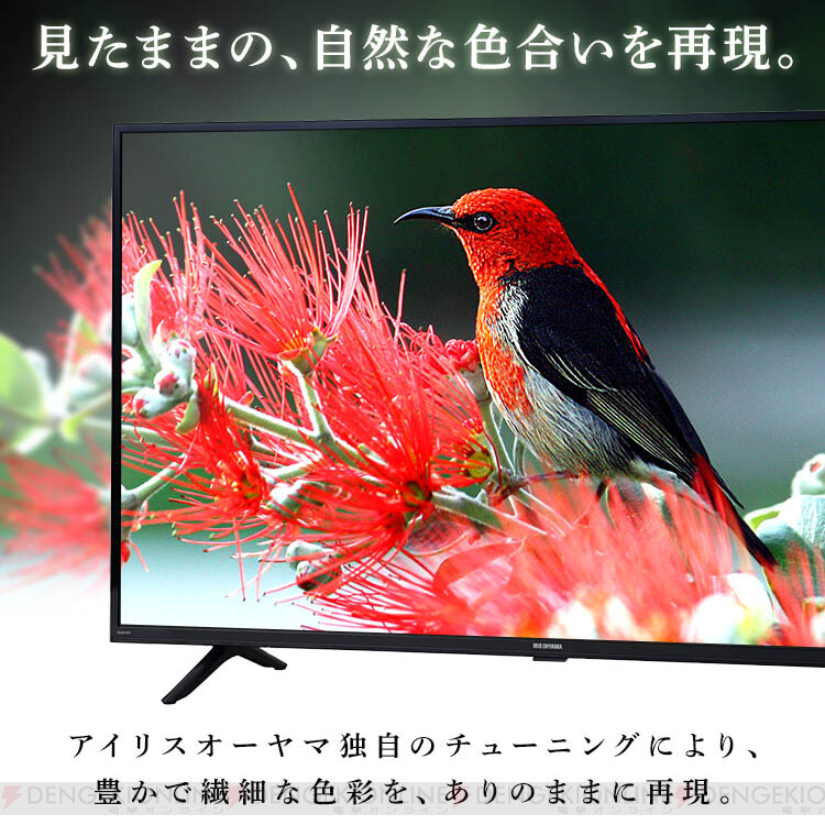 画像3/12＞32型液晶テレビが50％オフで約15,000円とお買い得。アイリスオーヤマ独自のチューニングが豊かで繊細な色彩を再現【楽天スーパーセール】  - 電撃オンライン