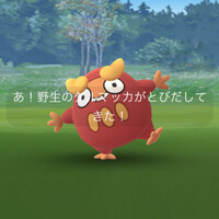 ポケGO_ダルマッカ