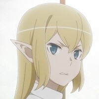 『ダンジョンに出会いを求めるのは間違っているだろうかIV 深章 厄災篇』