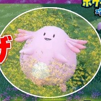 ポケットモンスター スカーレット・バイオレット