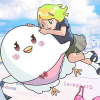 SHIROHATO（白鳩）