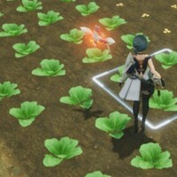 ハーヴェステラ_金策