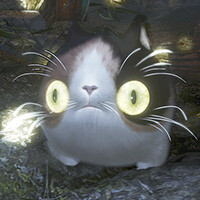 仁王コンプリートエディション