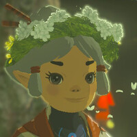 ティアキン：ココナとプリコの1日に密着！ 尾行で見えた姉妹の成長【ゼルダ ティアーズ オブ ザ キングダム日記＃45】