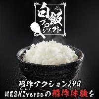 白猫プロジェクト