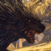 WILD HEARTS Karakuri Edition