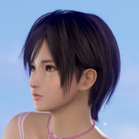 『デッド オア アライブ エクストリーム ヴィーナス バケーション』