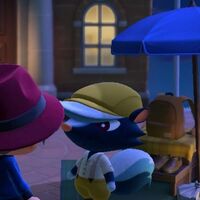 あつ森シャンク