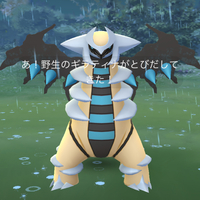 『ポケGO』ギラティナ色違い