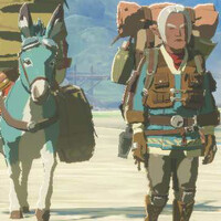 ティアキン：NPC尾行の旅リベンジ。旅人ロンを尾行してみた【ゼルダ ティアーズ オブ ザ キングダム日記＃60】