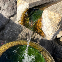 『ドラゴンクエストウォーク』