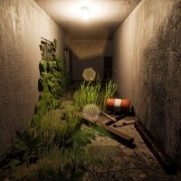 『廃屋配信』