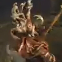 ゴロー2000才の家