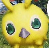 『ファンタシースターオンライン2 ニュージェネシス』