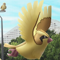 『ポケモンGO』