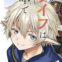 転生してハイエルフ