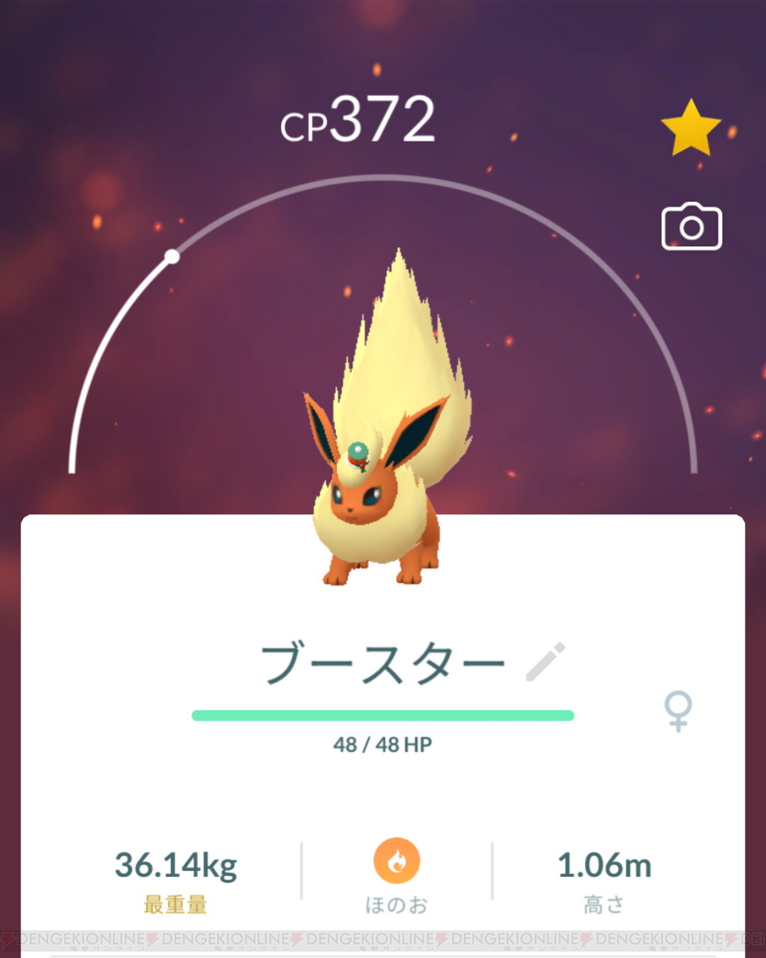 ポケモンGO』ウィンターイベント限定衣装のブイズすべて進化させてみた！ - 電撃オンライン