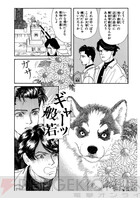 画像1/3＞『動物のお医者さん』新装版が1月から毎月刊行決定。マスコット的存在のチョビはシベリアンハスキーブームの火付け役に - 電撃オンライン