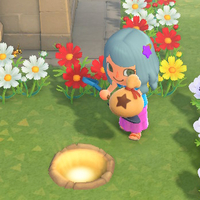 『あつ森』カネのなるき