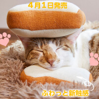 『サブウェイ』