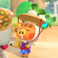 『あつ森』カブ