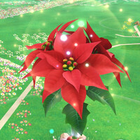 ピクミンブルーム_ポインセチア