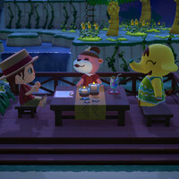 あつ森_追加パック