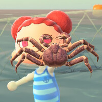 『あつ森』11月のサカナ＆海の幸