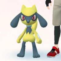 『ポケモンGO』