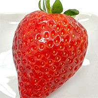イチゴ