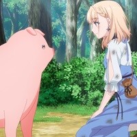 豚のレバーは加熱しろ