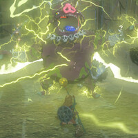 ティアキン攻略：自動追尾が優秀なキースの目玉と雷属性攻撃が強いエレキライクの胃石【ゼルダ ティアーズ オブ ザ キングダム日記＃16】