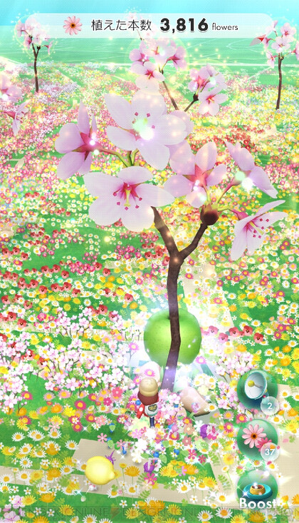 3月コミュニティ・デイは桜の花が満開！【ピクミンブルーム日記#14】 - 電撃オンライン