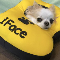 『ワンフェイス』