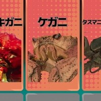 『カニノケンカ』