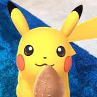 『ポケモンGO』