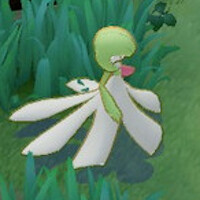 『ポケモンユナイト』