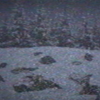 『ポケモンレジェンズ アルセウス』