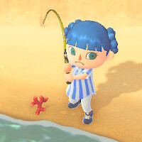 あつ森_8月のサカナ&海の幸