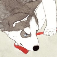 『動物のお医者さん』